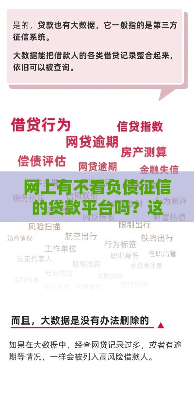 网上有不看负债征信的贷款平台吗？这3点真相必须知道