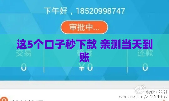 这5个口子秒下款 亲测当天到账