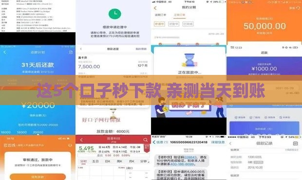 这5个口子秒下款 亲测当天到账