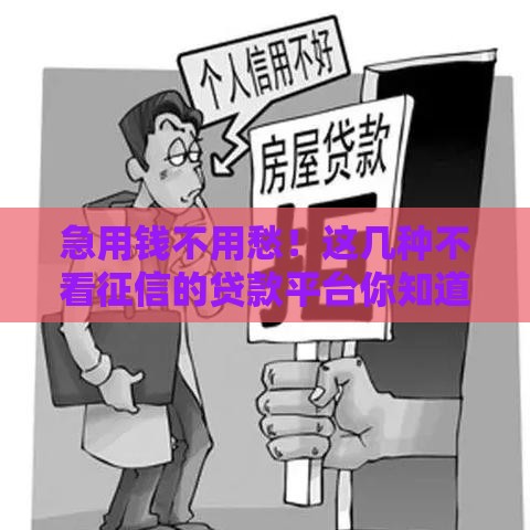 急用钱不用愁！这几种不看征信的贷款平台你知道吗？