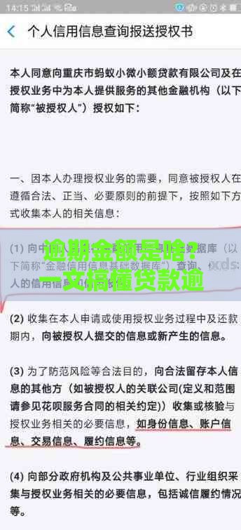 逾期金额是啥？一文搞懂贷款逾期分类和应对技巧