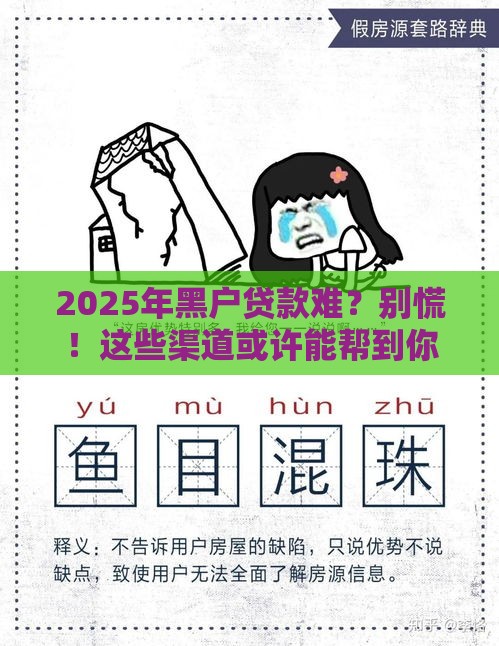 2025年黑户贷款难？别慌！这些渠道或许能帮到你