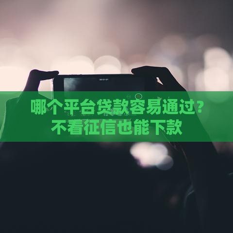 哪个平台贷款容易通过？不看征信也能下款