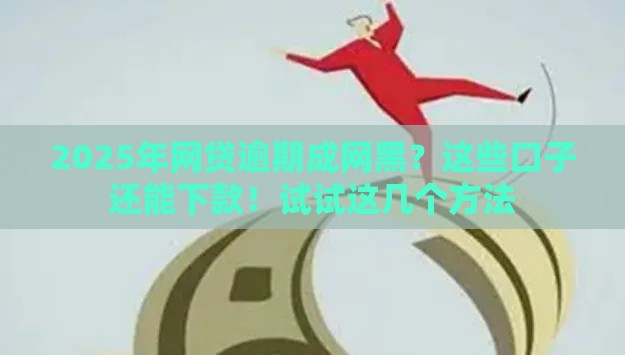2025年网贷逾期成网黑？这些口子还能下款！试试这几个方法