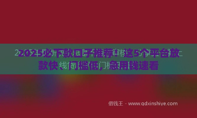 2025必下款口子推荐！这5个平台放款快、门槛低，急用钱速看