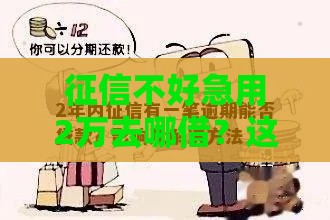 征信不好急用2万去哪借？这5个方法靠谱实用！