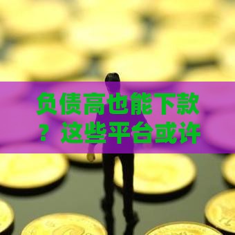 负债高也能下款？这些平台或许能帮到你