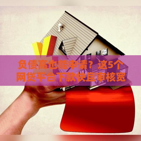 负债高也能申请？这5个网贷平台下款快且审核宽松！