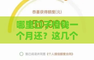 哪里口子借钱一个月还？这几个渠道靠谱省心