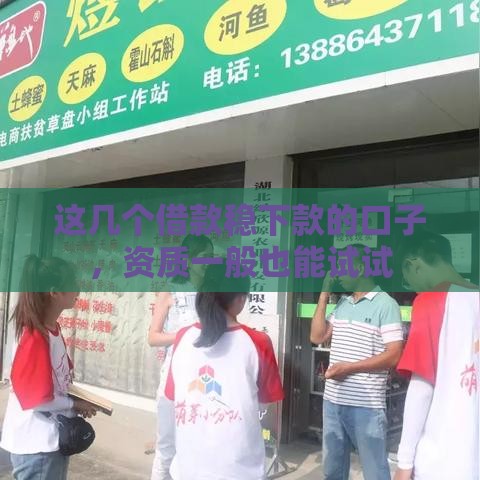 这几个借款稳下款的口子，资质一般也能试试