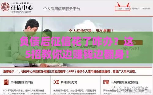 负债后征信花了咋办？这5招教你边赚钱边翻身！