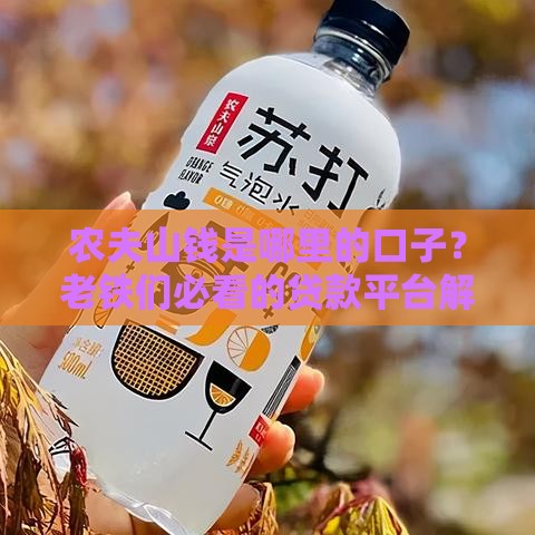 农夫山钱是哪里的口子？老铁们必看的贷款平台解析！