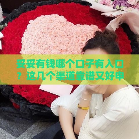 妥妥有钱哪个口子有入口？这几个渠道靠谱又好申请！