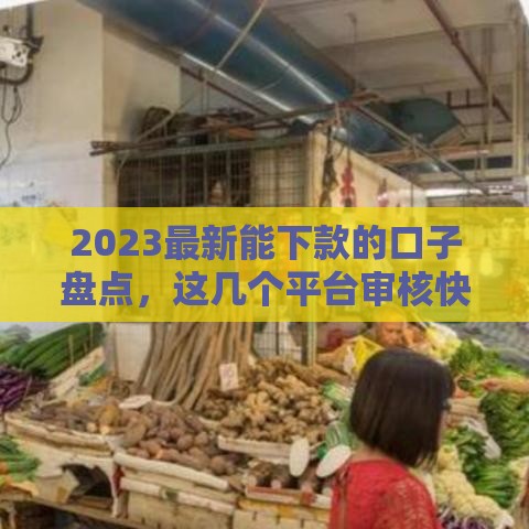 2023最新能下款的口子盘点，这几个平台审核快又靠谱