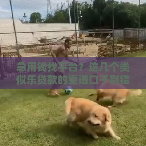 急用钱找平台？这几个类似乐贷款的靠谱口子别错过！