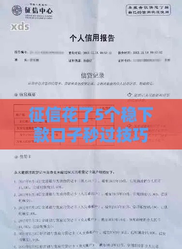 征信花了5个稳下款口子秒过技巧