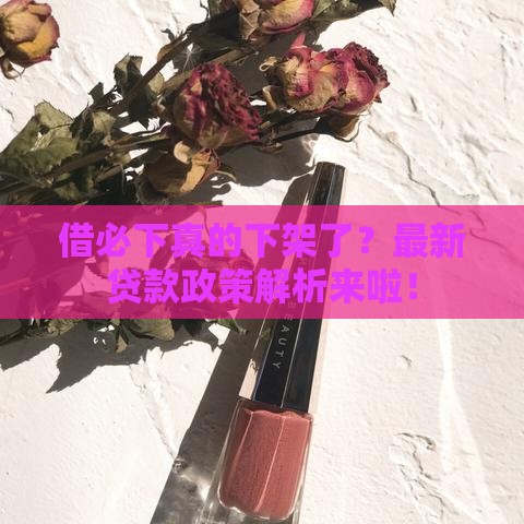 借必下真的下架了？最新贷款政策解析来啦！
