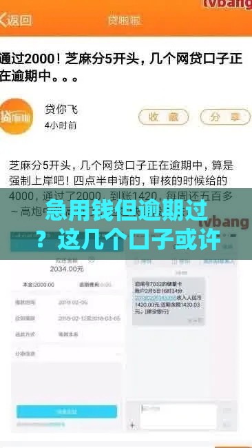 急用钱但逾期过？这几个口子或许能帮你下款！