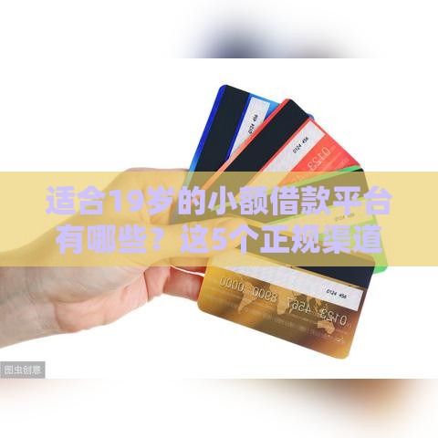 适合19岁的小额借款平台有哪些？这5个正规渠道轻松应急！