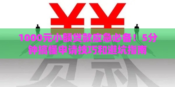 1000元小额贷款应急必备！5分钟搞懂申请技巧和避坑指南