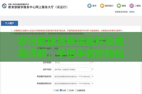 农行微捷贷申请条件及流程详解，手把手教你轻松搞定