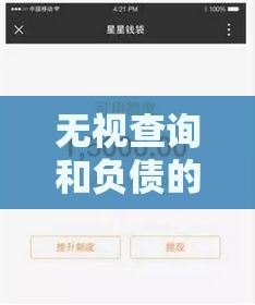 无视查询和负债的网贷秒批到账