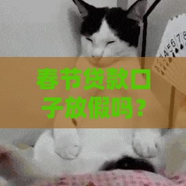 春节贷款口子放假吗？急用钱的朋友速看！