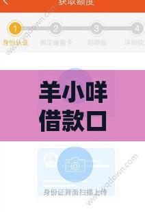 羊小咩借款口子大神实测：5个低息平台当天到账不踩坑