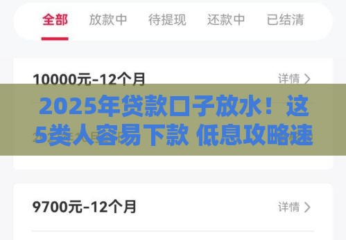 2025年贷款口子放水！这5类人容易下款 低息攻略速看