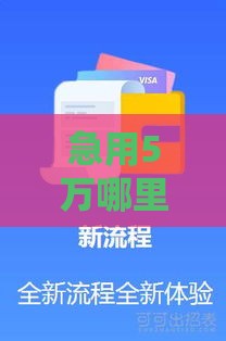 急用5万哪里借？这些口子下款快又靠谱！