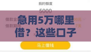 急用5万哪里借？这些口子下款快又靠谱！