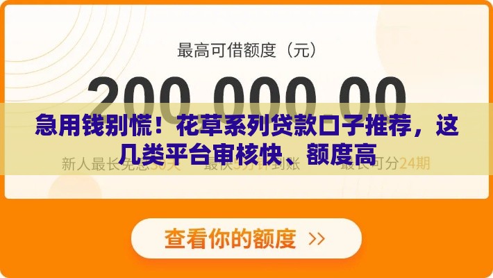 急用钱别慌！花草系列贷款口子推荐，这几类平台审核快、额度高