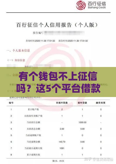 有个钱包不上征信吗？这5个平台借款不查信用记录！