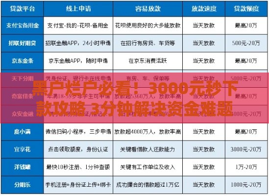 黑户烂户必看！3000元秒下款攻略 3分钟解决资金难题