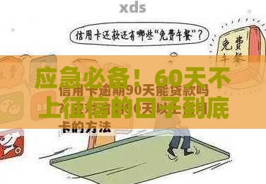 应急必备！60天不上征信的口子到底靠不靠谱？