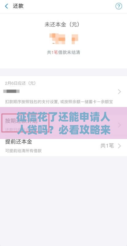 征信花了还能申请人人贷吗？必看攻略来了！