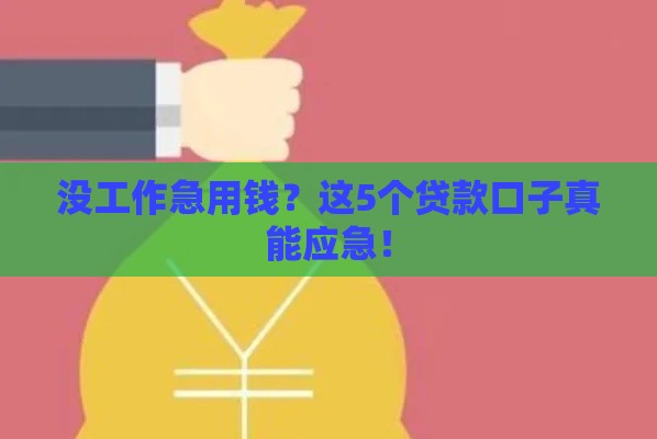 没工作急用钱？这5个贷款口子真能应急！