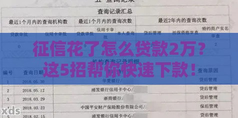 征信花了怎么贷款2万？这5招帮你快速下款！