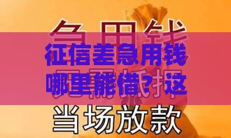 征信差急用钱哪里能借？这几家平台审核宽松，试试看！