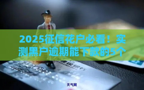2025征信花户必看！实测黑户逾期能下款的5个口子