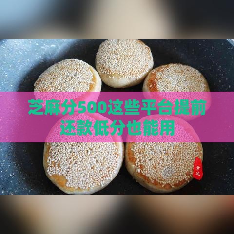 芝麻分500这些平台提前还款低分也能用