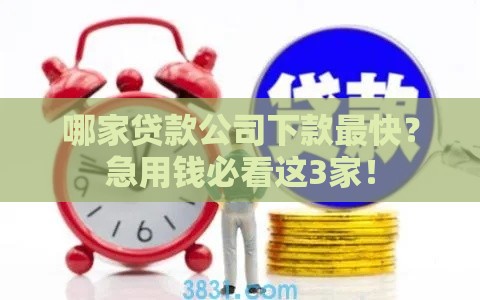 哪家贷款公司下款最快？急用钱必看这3家！