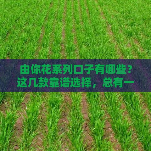 由你花系列口子有哪些？这几款靠谱选择，总有一款适合你！
