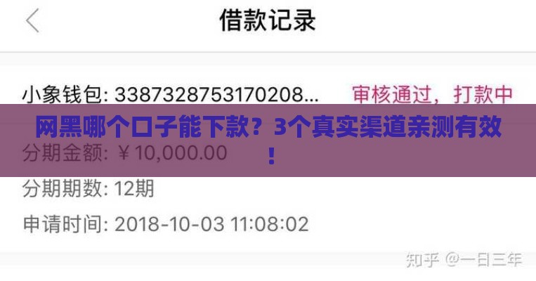 网黑哪个口子能下款？3个真实渠道亲测有效！
