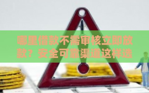 哪里借款不需审核立即放款？安全可靠渠道这样选