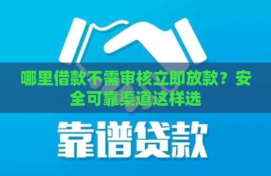 哪里借款不需审核立即放款？安全可靠渠道这样选