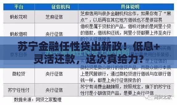 苏宁金融任性贷出新政！低息+灵活还款，这次真给力？
