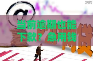 当前逾期也能下款？急用钱必看的网贷平台盘点
