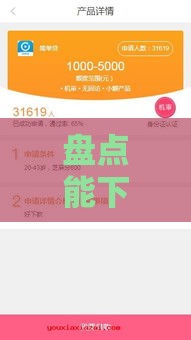 盘点能下款的大额低息贷款口子