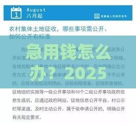 急用钱怎么办？2025借3000元新规：不查征信也能一分钟到账？